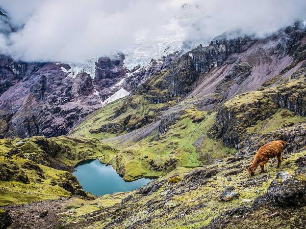 Amazing experience in Lares trek to Machu Picchu