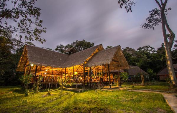 Día 2: Aventura en el Amazon Lodge