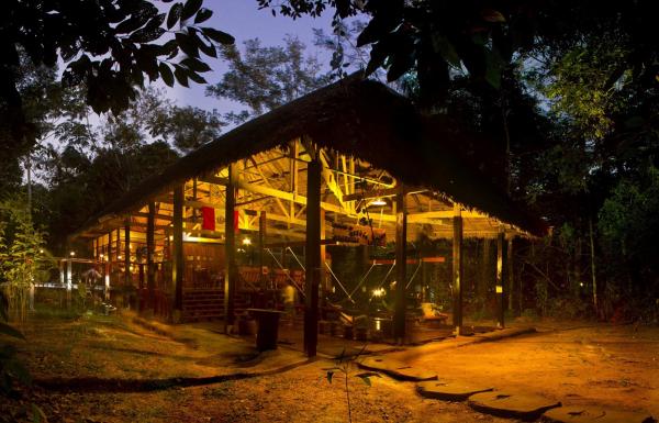 Día 2: Aventura en el Amazon Lodge