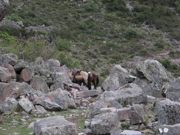 Cachicata Quarry - The Tired Stones of Ollantaytambo