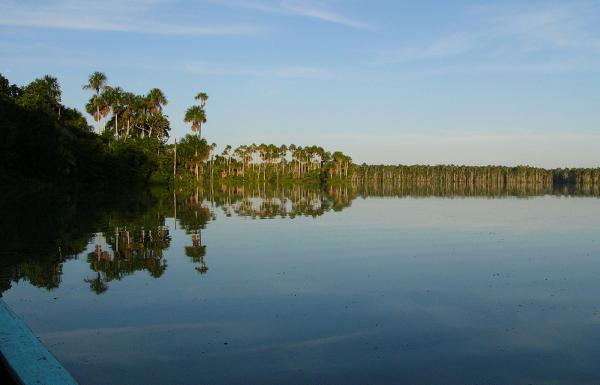 Día 3: Lago Sandoval