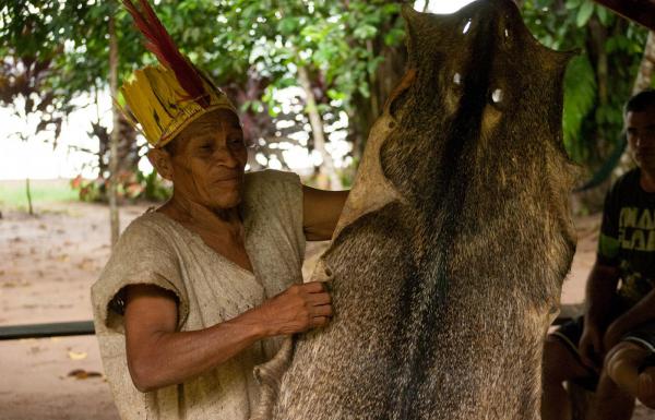 Día 3: Familia nativa