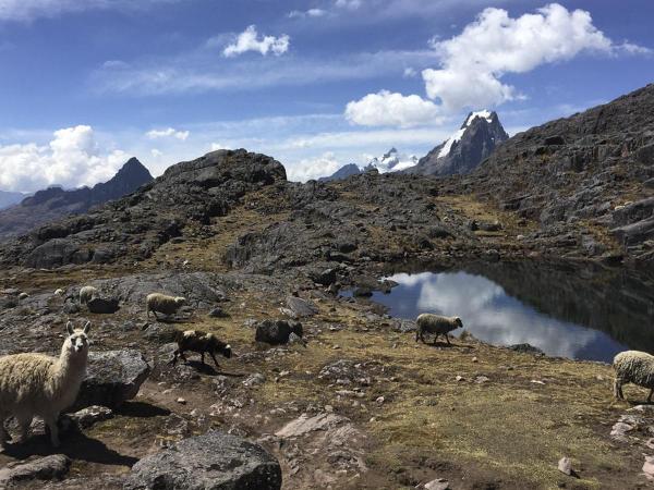 Sacred Valley: Yanacocha Lake in Urubamba