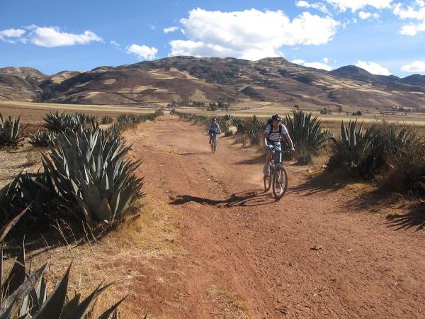 Trails of Andes and Jungle in Cusco 