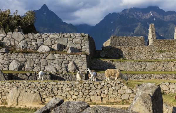 Day 2: Train: Ollantaytambo - Aguas Calientes - Tour in Machu Picchu - Overnight in Aguas Calientes